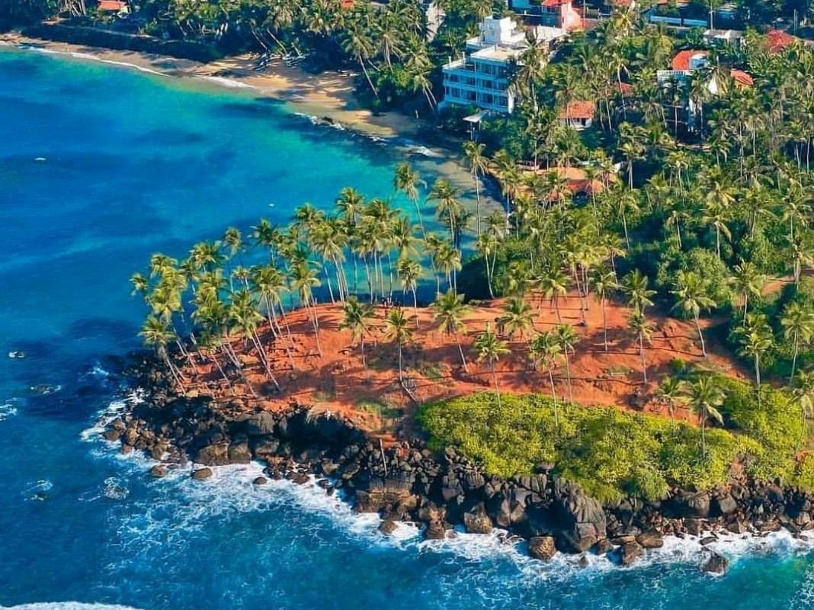 Coconut Tree Hill