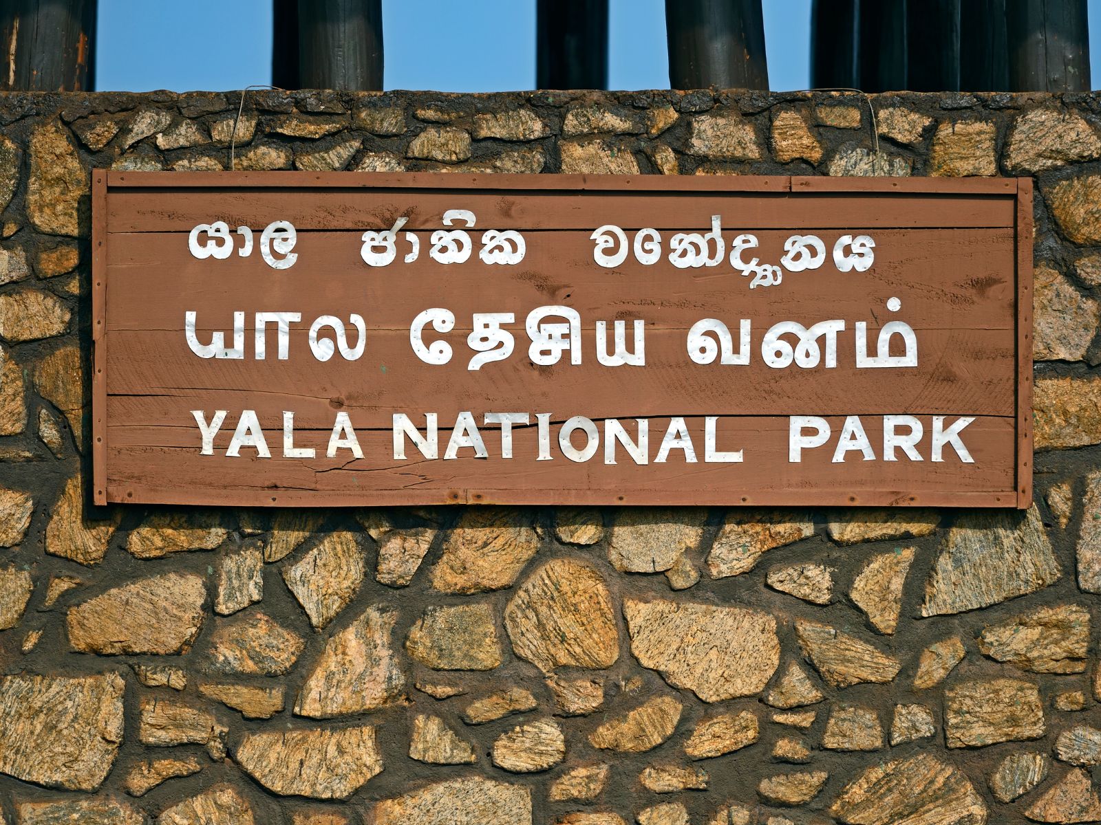 Yala Landscape