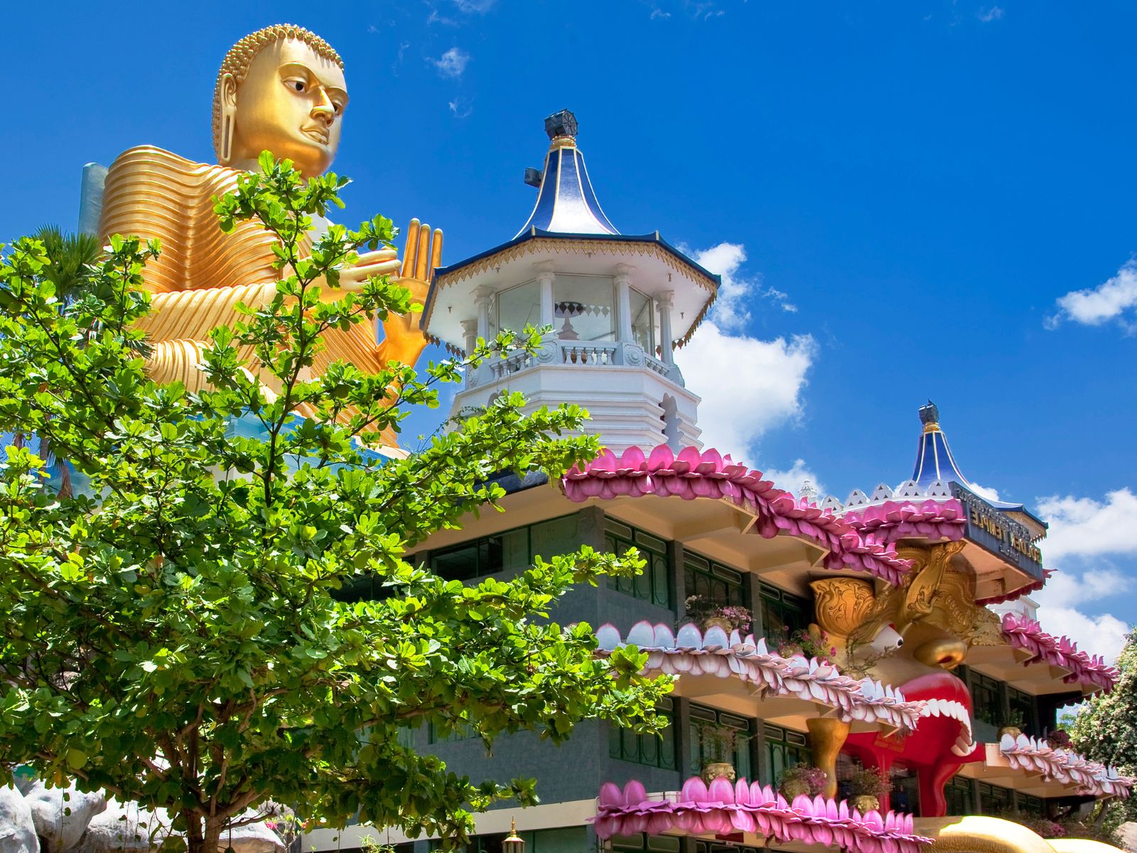 Buddha Statues